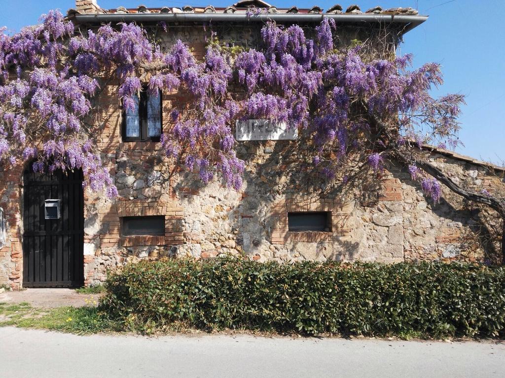 Casa Vacanze Borgolozzi Villa Sovicille Exterior photo